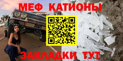 индика Берёзовский