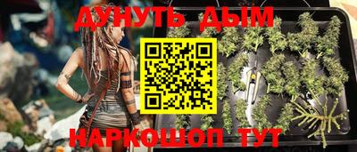 индика Берёзовский