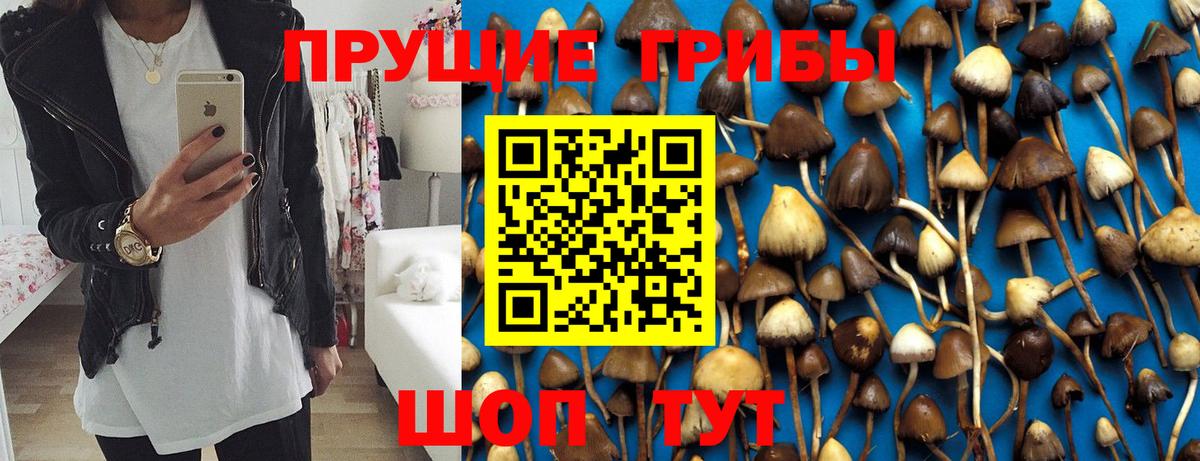 Псилоцибиновые грибы ЛСД  Псилоцибиновые грибы ЛСД  Карачаевск  Вход с VPN 